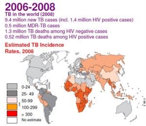 Figure 8: Map showing the true severity of the tuberculosis problem; in 2006-2008 - the last period before WHO's TB statistics dived as a result of including many TB cases into the wastebasket of "AIDS-defining illness". Note that the darker-colored regions are mostly in Africa. (Source: WHO) 